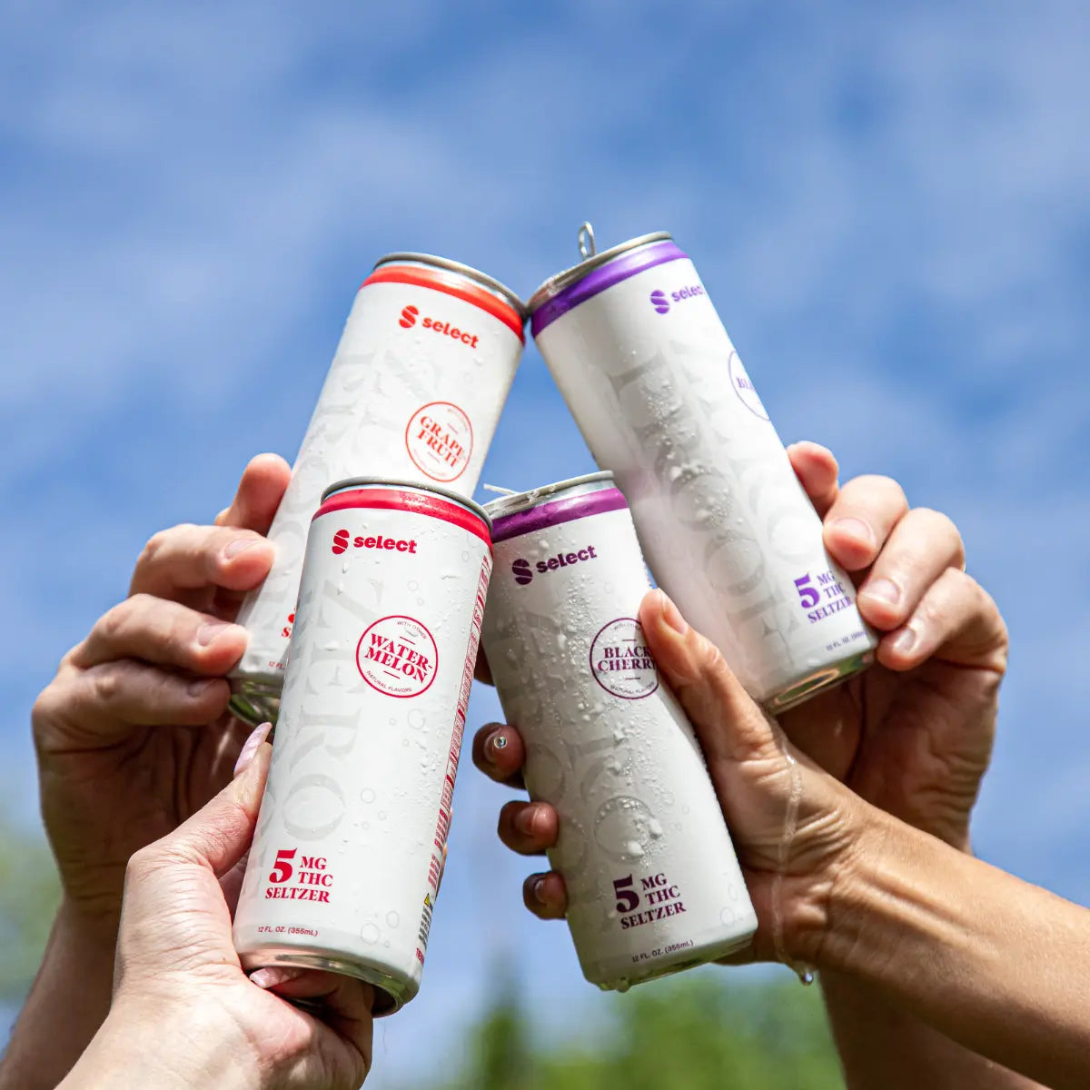 Select Zero Proof THC Seltzer Variety Pack, 4 Flavors (4-pack) Select*