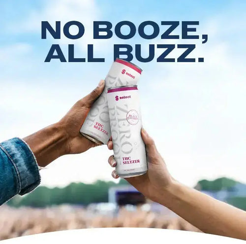 No Booze, All Buzz - The Hemp Company